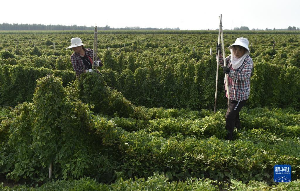奔驰宝马游戏厅